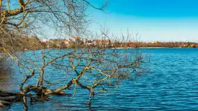 Wiosna w Mrągowie, końcówka marca 2023 r. - zdjęcie 4