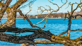 Wiosna w Mrągowie, końcówka marca 2023 r. - zdjęcie 29