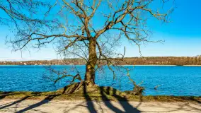 Wiosna w Mrągowie, końcówka marca 2023 r. - zdjęcie 21