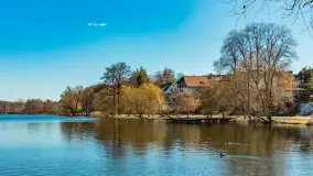 Wiosna w Mrągowie, końcówka marca 2023 r. - zdjęcie 18