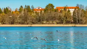 Wiosna w Mrągowie, końcówka marca 2023 r. - zdjęcie 65