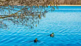 Wiosna w Mrągowie, końcówka marca 2023 r. - zdjęcie 69