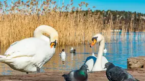 Wiosna w Mrągowie, końcówka marca 2023 r. - zdjęcie 27