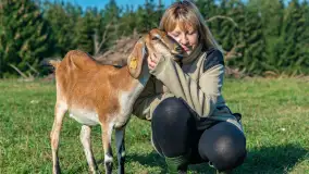Kremowy smak Mazur – idealny na stół wielkanocny od Chèvre au lait - zdjęcie 8