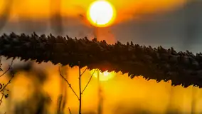 Zachód słońca nad jeziorem Niegocin, Bystry, dzika plaża, kwiecień 2025 - zdjęcie 19