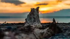 Zachód słońca nad jeziorem Niegocin, Bystry, dzika plaża, kwiecień 2025 - zdjęcie 7