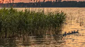 Zachód słońca w Ogonkach, port 69, czerwiec 2025 r. - zdjęcie 21