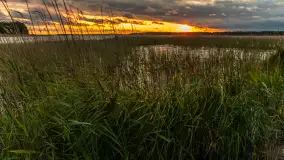 Wietrzny ale jednak zachód słońca w Ogonkach, czerwiec 2025 r. - zdjęcie 20