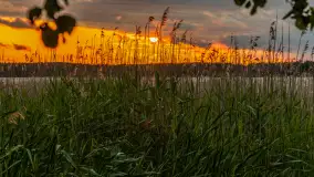 Wietrzny ale jednak zachód słońca w Ogonkach, czerwiec 2025 r. - zdjęcie 14