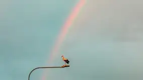 Zachód słońca nad rzeką Gołdapa w Baniach Mazurskich, lipiec 2025 r. - zdjęcie 17