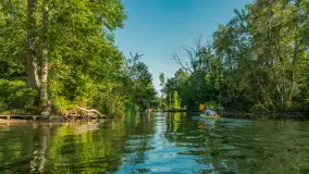 Popołudniowy spływ na Krutyni, sierpień 2025 r. - zdjęcie 8