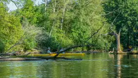 Popołudniowy spływ na Krutyni, sierpień 2025 r. - zdjęcie 2