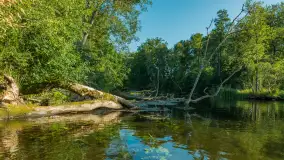 Popołudniowy spływ na Krutyni, sierpień 2025 r. - zdjęcie 3