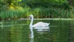 Popołudniowy spływ na Krutyni, sierpień 2025 r. - zdjęcie 9