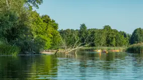 Popołudniowy spływ na Krutyni, sierpień 2025 r. - zdjęcie 52