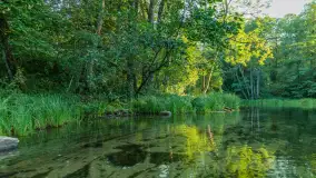 Popołudniowy spływ na Krutyni, sierpień 2025 r. - zdjęcie 49