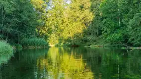 Popołudniowy spływ na Krutyni, sierpień 2025 r. - zdjęcie 55