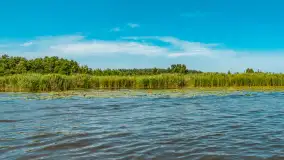 Mazurski szlak z wody, sierpień 2025 r., cz. III - zdjęcie 35