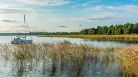 Jezioro Mamry w okolicach Węgorapy, sierpień 2025 r. - zdjęcie 22