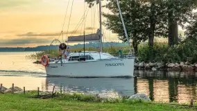 Jezioro Mamry w okolicach Węgorapy, sierpień 2025 r. - zdjęcie 13