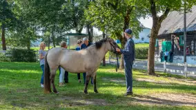 Fotorelacja - 70 lat konika polskiego w Popielnie – jubileuszowe spotkanie - zdjęcie 28