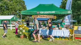 Fotorelacja - 70 lat konika polskiego w Popielnie – jubileuszowe spotkanie - zdjęcie 35