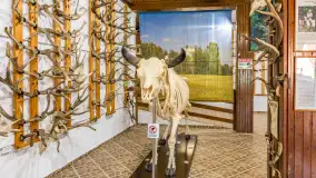 Fotorelacja - 70 lat konika polskiego w Popielnie – jubileuszowe spotkanie - zdjęcie 73