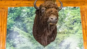 Fotorelacja - 70 lat konika polskiego w Popielnie – jubileuszowe spotkanie - zdjęcie 71