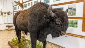 Fotorelacja - 70 lat konika polskiego w Popielnie – jubileuszowe spotkanie - zdjęcie 76