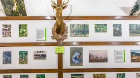 Fotorelacja - 70 lat konika polskiego w Popielnie – jubileuszowe spotkanie - zdjęcie 72