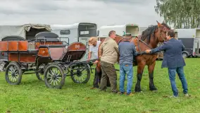Sulimiada 2025 – przegląd źrebiąt i rodzinny piknik w Sulimach - zdjęcie 27