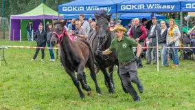 Sulimiada 2025 – przegląd źrebiąt i rodzinny piknik w Sulimach - zdjęcie 1