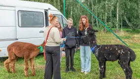 Sulimiada 2025 – przegląd źrebiąt i rodzinny piknik w Sulimach - zdjęcie 63