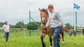 Sulimiada 2025 – przegląd źrebiąt i rodzinny piknik w Sulimach - zdjęcie 74