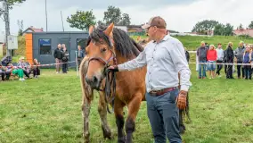 Sulimiada 2025 – przegląd źrebiąt i rodzinny piknik w Sulimach - zdjęcie 94