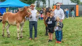 Sulimiada 2025 – przegląd źrebiąt i rodzinny piknik w Sulimach - zdjęcie 111