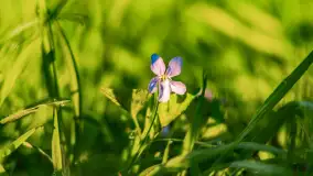 Wiosenne kadry o wschodzie słońca na Bełdanami, kwiecień 2025 r. - zdjęcie 8