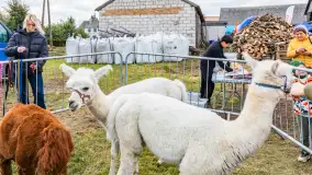 Fotorelacja z IV Redyku Mazurskiego, 04 października 2025 r. - zdjęcie 53