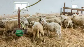 Fotorelacja z IV Redyku Mazurskiego, 04 października 2025 r. - zdjęcie 16