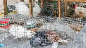 Fotorelacja z IV Redyku Mazurskiego, 04 października 2025 r. - zdjęcie 55