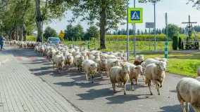 Fotorelacja z IV Redyku Mazurskiego, 04 października 2025 r. - zdjęcie 105