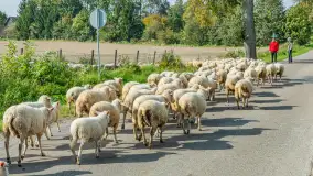 Fotorelacja z IV Redyku Mazurskiego, 04 października 2025 r. - zdjęcie 99