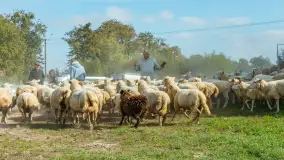 Fotorelacja z IV Redyku Mazurskiego, 04 października 2025 r. - zdjęcie 85