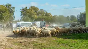 Fotorelacja z IV Redyku Mazurskiego, 04 października 2025 r. - zdjęcie 59