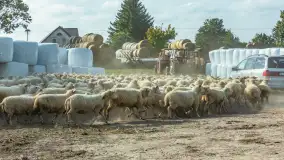 Fotorelacja z IV Redyku Mazurskiego, 04 października 2025 r. - zdjęcie 111