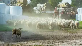 Fotorelacja z IV Redyku Mazurskiego, 04 października 2025 r. - zdjęcie 66