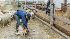 Fotorelacja z IV Redyku Mazurskiego, 04 października 2025 r. - zdjęcie 101