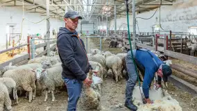 Fotorelacja z IV Redyku Mazurskiego, 04 października 2025 r. - zdjęcie 76