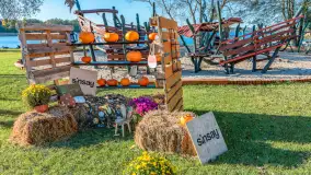 Dyniowy Port w Ogonkach, odkryj barwy jesieni na Mazurach - zdjęcie 31