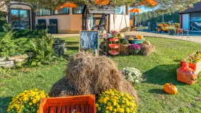 Dyniowy Port w Ogonkach, odkryj barwy jesieni na Mazurach - zdjęcie 42